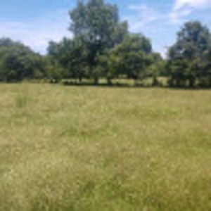 Meet your Posher, Gracie